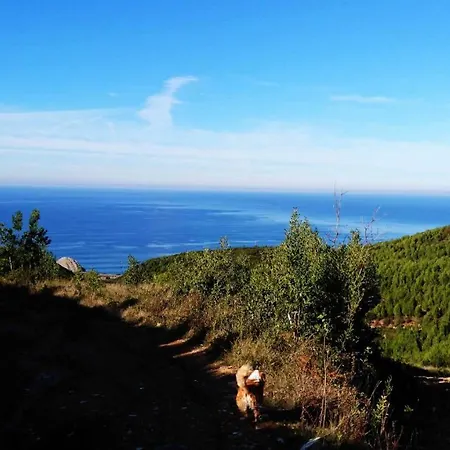 דירה Foz House בוארקוס