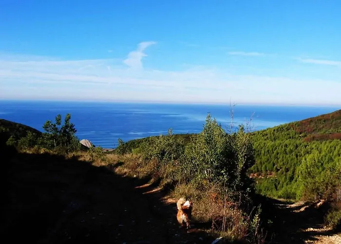 Апартаменты Foz House Буаркуш